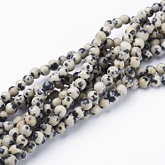 Natural Dalmatian Jasper Beads Strands, Round, 4mm, Hole: 0.8mm, about 86pcs/strand, 15 inch/Strand(X-GSR4mmC004)