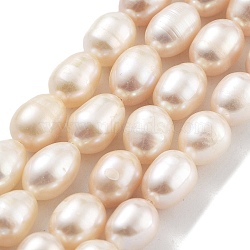 Natural Cultured Freshwater Pearl Beads Strands, Grade 3A, Oval, PeachPuff, 6.5~7mm, Hole: 0.7mm, about 22pcs/strand, 7.68''(19.5cm)(PEAR-P062-18)