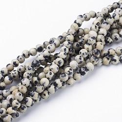 Natural Gemstone Bead Strands, Round Dalmatian Beads, Pale Goldenrod, 4mm, Hole: 0.8mm, about 86pcs/strand, 15 inch/Strand(X-GSR4mmC004)