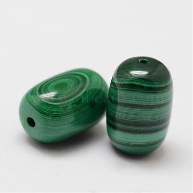Wax Gourd Natural Malachite Beads(G-I178-03-8x12)-2