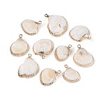 Electroplate Natural Sea Shell Pendants, Shell Shaped Charms with Golden Tone Iron Loops, Seashell Color, 18~26x14~22.5x6~9.5mm, Hole: 1.5~1.6mm(SSHEL-N042-01)
