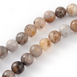 Natural Bamboo Leaf Agate Round Bead Strands, 8mm, Hole: 1mm, about 48pcs/strand, 15.5 inch(X-G-M248-8mm-04)