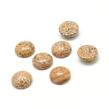 Natural Picture Jasper Gemstone Cabochons, Half Round, 20x6.5mm