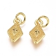 Electroplated Alloy Charms(PALLOY-G267-13G)-2
