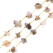 Handmade Beaded Chain, with Brass Cable Chain & Chip Natural Botswana Agate Link Chain, Long-Lasting Plated, Soldered, Golden, 3~8x3~16mm, 32.80Feet/roll(10m/roll)(CHC-D027-01G-05)