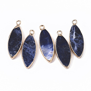 Edge Golden Plated Natural Sodalite Pendants, with Iron Loop, Horse Eye, 28.5~30.5x10.5x3.5mm, Hole: 1.6mm(G-T131-06C)