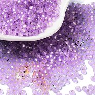 8/0 Glass Seed Beads, Frosted, Silver Lined, Round, Plum, 3x2mm, Hole: 1mm(SEED-Z001-C-E16)