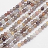 Faceted Natural Botswana Agate Round Beads Strands, 4mm, Hole: 1mm, about 92pcs/strand, 15.5 inch(G-I166-01-4mm)