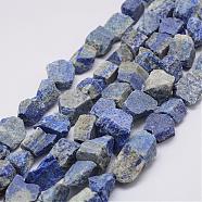 Raw Rough Natural Lapis Lazuli Beads Strands, Nuggets, 15~20x14~18x10~14mm, Hole: 1mm, about 18~25pcs/strand, 14.9 inch(38cm)(G-E343-13)