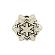 Tibetan Style Alloy Snowflake Beads(TIBEB-6033-AS-NR)-1