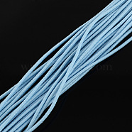 Elastic Cord, with Fibre Outside and Rubber Inside, Light Blue, 4.0mm, about 109.36 yards(100m)/bundle(EC-R004-4.0mm-04)