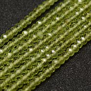 Natural Peridot Beads Strands, Faceted, Rondelle, 3x2mm, Hole: 0.5~0.6mm, about 129~173pcs/strand, 15.5 inch(39.5cm)(G-F460-05)