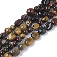 Natural Tiger Eye Beads Strands, Nuggets, Tumbled Stone, 5~11x5~8x3~6mm, Hole: 0.8mm, about: 52~56pcs/Strand, 15.94 inch(40.5cm)(G-S363-031)