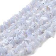 Natural Blue Lace Agate Chip Beads Strands, 5~8x5~8mm, Hole: 1mm; about 16 inch.(X-G-E271-73-01)