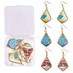 DIY Earring Making Kits, including Wood Pendants Accessories, Brass Earring Hooks, Plastic Ear Nuts, Iron Earring Findings, Mixed Color, 48x27mm(DIY-CJ0001-57)
