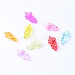 Transparent Acrylic Pendants, Grape, Mixed Color, 44x26x16mm, Hole: 2.5mm, about 114pcs/500g(TACR-S132-02)