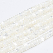 Natural Trochid Shell/Trochus Shell Beads Strands, Column, White, 3.5~4x2~2.5mm, Hole: 0.8mm, about 176pcs/strand, 15.94 inch(40.5cm)(X-SSHEL-L016-13A)