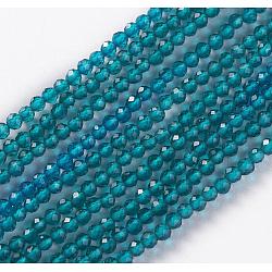 Glass Beads Strands, Faceted, Round, Steel Blue, 2x2mm, Hole: 0.4mm, about 193~197pcs/strand, 14.17 inch~15.51 inch(36~39.4cm)(X-EGLA-E057-02B-10)