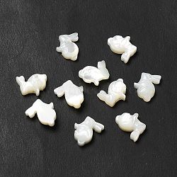 Natural White Shell Beads, Rabbit, Seashell Color, 11x11x3.5mm, Hole: 0.7mm(BSHE-E026-08)