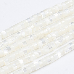 Natural Trochid Shell/Trochus Shell Beads Strands, Column, White, 3.5~4x2~2.5mm, Hole: 0.8mm, about 176pcs/strand, 15.94 inch(40.5cm)(X-SSHEL-L016-13A)