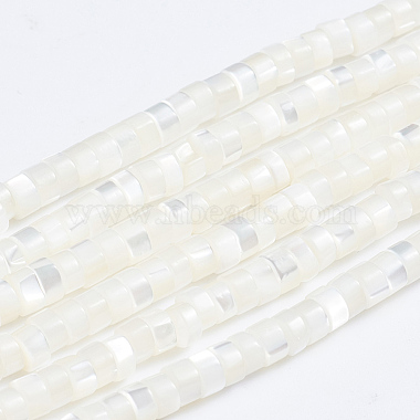 4mm White Column Trochus Shell Beads