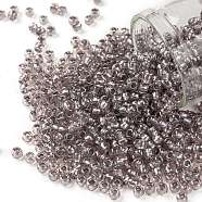 TOHO Round Seed Beads, Japanese Seed Beads, (1807) Grey Lined Soft Rose Rainbow, 8/0, 3mm, Hole: 1mm, about 222pcs/10g(X-SEED-TR08-1807)