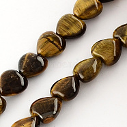 Natural Tiger Eye Bead Strands, Heart, Coffee, 10x10x5mm, Hole: 1mm, about 40pcs/strand, 15.3 inch(X-G-R190-16)