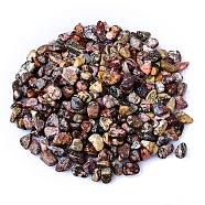 Natural Leopard Skin Jasper Tumbled Chips, for Home Crafts Projects and Flower Pot Fish Tank Decoration, 3~5mm(PW-WGA7DCE-43)