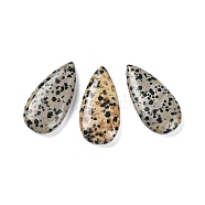 Natural Dalmatian Jasper Pendants, Teardrop Charms, 40x20x8mm, Hole: 1.2mm(G-F731-04M)
