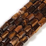 Natural Tiger Eye Beads Strands, with Seed Beads, Faceted, Column, 5.5~7.5mm, Hole: 0.7mm, about 26~33pcs/strand, 15.67''~16.46''(39.8~41.8cm)(G-M403-B27)