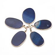 Natural Agate Pendants, with Golden Tone Iron Findings, Dyed, Oval, 41~44x24~29x3~3.5mm, Hole: 7x4mm(G-S299-100)