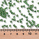 8/0 Glass Seed Beads(SEED-A005-3mm-27)-3