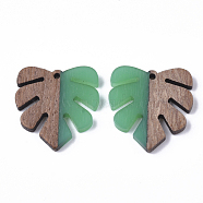 Resin & Walnut Wood Pendants, Tropical Leaf Charms, Monstera Leaf Pendant, Green, 30x28x3.5mm, Hole: 2mm(RESI-S358-24A)