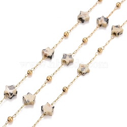 Ion Plating(IP) 304 Stainless Steel Satellite Chains, with Natural Dalmatian Jasper Star Beaded, Unwelded, with Spool, Golden, 4x4x2mm(CHS-G019-01G-06)