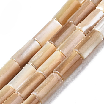 Natural Trochid Shell/Trochus Shell Beads Strands, Column, BurlyWood, 10x5mm, Hole: 0.8mm, about 40pcs/strand, 15.75 inch(40cm)