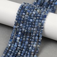 Natural Kyanite Beads Strands, Grade A, Faceted, Cube, 4x4~4.5x4.5mm, Hole: 0.7mm, about 97pcs/strand, 15.39''(39.1cm)(G-M092-C01-02A)