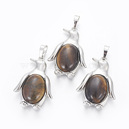 Natural Tiger Eye Pendants, with Brass Findings, Penguin, Platinum, 34~35x24~25x5~8mm, Hole: 8x5mm(G-L512-A25)