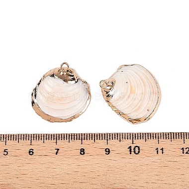 Natural Sea Shell Pendants(SSHEL-N038-20)-3