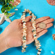 1 brin de perles de coquillages naturels(SSHEL-TA0001-12)-6