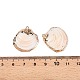 Natural Sea Shell Pendants(SSHEL-N038-20)-3