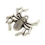 Halloween Jewelry Tibetan Style Alloy Spider Pendants, Cadmium Free & Nickel Free & Lead Free, Antique Silver, 35x31x5.5mm, Hole: 2.5mm(TIBEP-S269-AS-FF)
