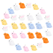 40Pcs 2 Style Resin Pendant, with Iron Findings, Rabbit, Mixed Color, 40pcs/box(RESI-FH0001-33)