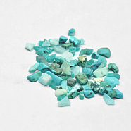 Synthetic Turquoise Chip Beads, No Hole/Undrilled, 2~8x2~4mm, about 8500pcs/500g(G-O103-04)