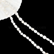 1 Strand Baroque Style Natural Keshi Pearl Beads Strands, Cultured Freshwater Pearl, Rice, Seashell Color, 9~11x5~8x4~7mm, Hole: 0.6mm, about 37~41pcs/strand, 15.35 inch(39cm)(PEAR-NB0002-15)
