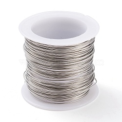 316 Surgical Stainless Steel Wire, for Jewelry Making, Stainless Steel Color, 21 Gauge, 0.7mm, about 42.65 Feet(13m)/roll(TWIR-L004-01B-P)