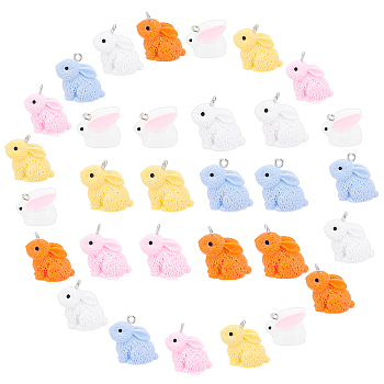 SUPERFINDINGS 40Pcs 2 Style Resin Pendant, with Iron Findings, Rabbit, Mixed Color, 40pcs/box
