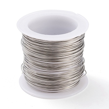 316 Surgical Stainless Steel Wire, for Jewelry Making, Stainless Steel Color, 21 Gauge, 0.7mm, about 42.65 Feet(13m)/roll
