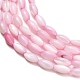 eau douce naturelle de coquillage perles brins(SHEL-C010-01E)-2