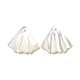 Natural White Shell Charms(SSHEL-M022-08)-1