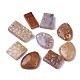 Natural Fossil Coral Pendants(G-G779-02B)-1